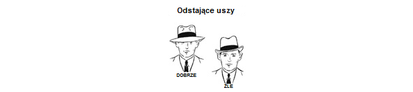 6. ostajace uszy