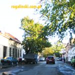 Ukraina widoki zdjecia, Ukraine, photos, pictures, Kiev, Lviv, Kijow, Lwow 3