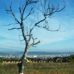 Romania, Rumunia,Rumuniya, Transilvania, Siedmiogrod,
