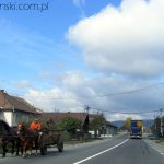 Romania, Rumunia,Rumuniya, Transilvania, Siedmiogrod, Bukureshta, road, horse