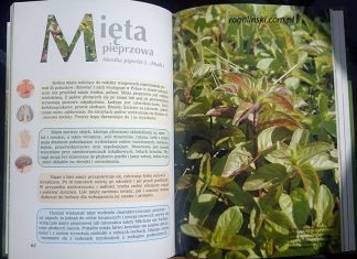 „Atlas ziół krajowych” (recenzja książki)