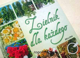 „Zielnik dla każdego” (recenzja książki)